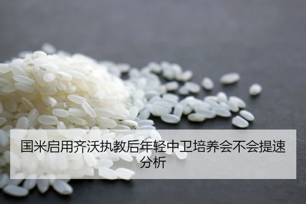 国米启用齐沃执教后年轻中卫培养会不会提速分析