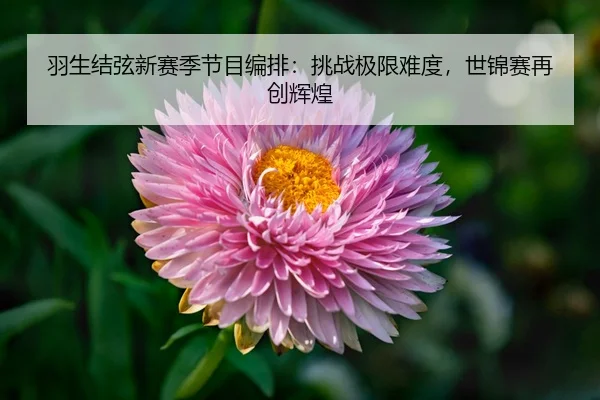 yu-sheng-jie-xian-xin-sai-ji-jie-mu-bian-pai-tiao-zhan-ji-xian-nan-du-shi-jin-sai-zai-chuang-hui-huang-3-351.jpg