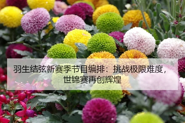 羽生结弦新赛季节目编排：挑战极限难度，世锦赛再创辉煌