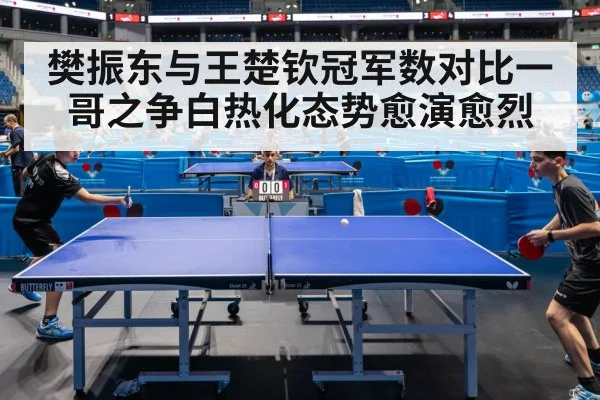 table tennis players in action